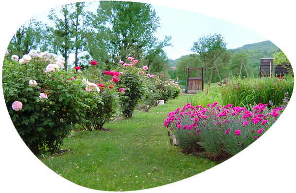 gite et maison d'hote en montagne 73
