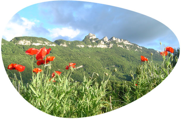 séjour montagnard en Savoie